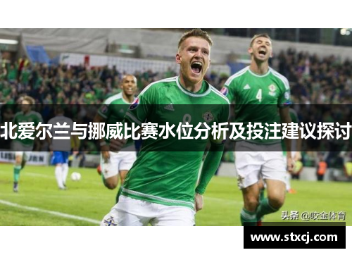 北爱尔兰与挪威比赛水位分析及投注建议探讨