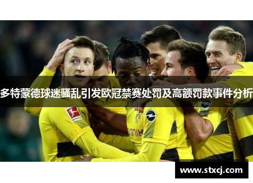多特蒙德球迷骚乱引发欧冠禁赛处罚及高额罚款事件分析